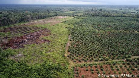 EU Berlakukan Tarif Biodiesel Indonesia, Aktivis Minta Pemerintah Tidak Reaktif