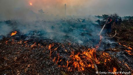 Greenpeace: Pengawasan dan Penegakan Hukum Solusi Kebakaran Hutan dan Lahan di Indonesia