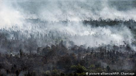 Emisi Karbon Kebakaran Hutan di Indonesia Lebih Parah Dibanding Hutan Amazon